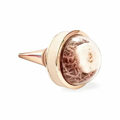 Gifts - Wine cork\” Silk shine\ " - L COLLECTIONS PARIS