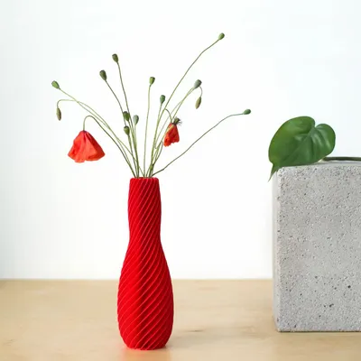 Vases - SPIRAL VASE - MARTIN ŽAMPACH