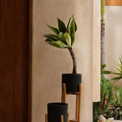 Flower pots - The Charcoal Low - Black Natural - S - BAZAR BIZAR LIVING