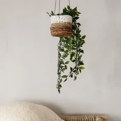 Pots de fleurs - Le Porte-Plante Banana - Blanc Naturel - BAZAR BIZAR LIVING