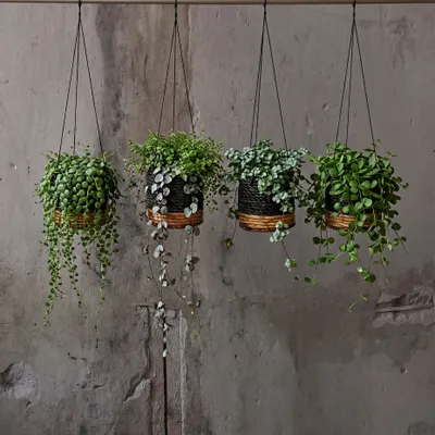 Pots de fleurs - Le Porte-Plante Banana - Noir Naturel - BAZAR BIZAR LIVING