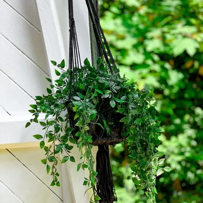 Decorative objects - The Macrame Plant Holder - Black - M - BAZAR BIZAR LIVING