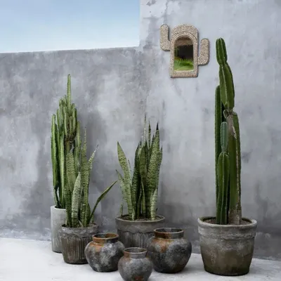 Vases - The Funky Vase - Antique Grey - L - BAZAR BIZAR LIVING