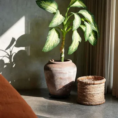 Baskets - The Chuka Basket - BAZAR BIZAR LIVING