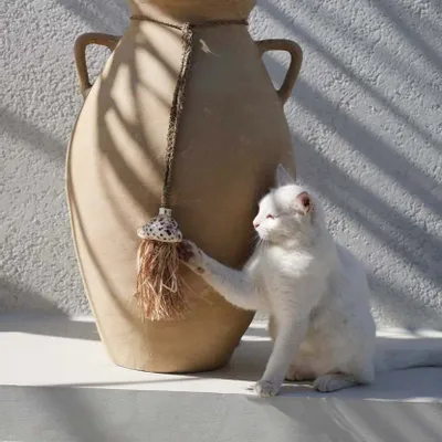 Decorative objects - The Raffia Lupina Tassel - Natural - BAZAR BIZAR LIVING