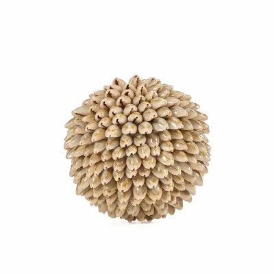 Decorative objects - The Oluolu Shell Ball - M - BAZAR BIZAR LIVING