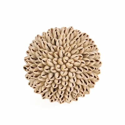 Decorative objects - The Oluolu Shell Ball - M - BAZAR BIZAR LIVING