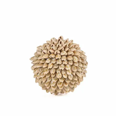 Objets de décoration - La Oluolu Shell Balle - S - BAZAR BIZAR LIVING