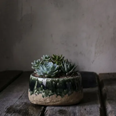 Pots de fleurs - Le Cache-Pot Bol Moss - Vert Béton - Bas - BAZAR BIZAR LIVING
