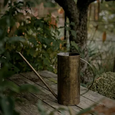 Accessoires de jardinage - Le Golden Pour Verseur - Or - BAZAR BIZAR LIVING