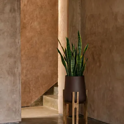 Flower pots - The Forked Root Planter - Natural Brown - L - BAZAR BIZAR LIVING