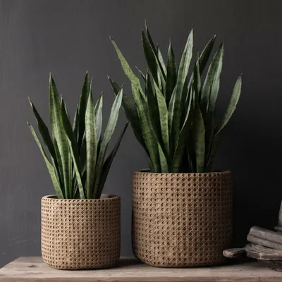 Pots de fleurs - Le Cache-Pot RattanRock - Naturel - XL - BAZAR BIZAR LIVING