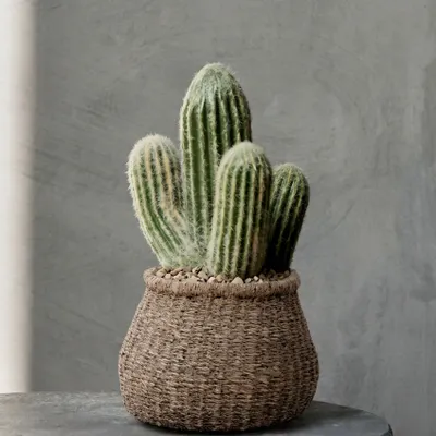 Pots de fleurs - La Cache-Pot Faux-Puff - Marron - S - BAZAR BIZAR LIVING