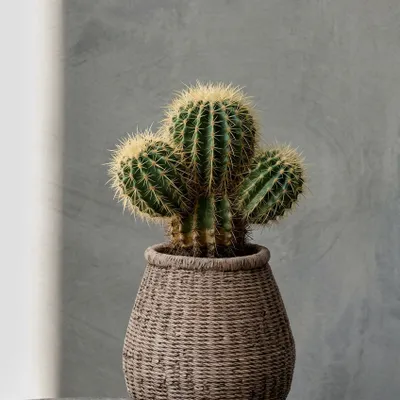 Flower pots - The Faux-Puff Planter - Brown - M - BAZAR BIZAR LIVING