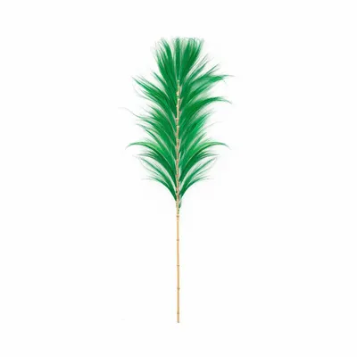 Decorative objects - The Stunning Leaf - Emerald Green - BAZAR BIZAR LIVING