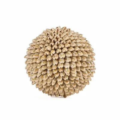 Objets de décoration - La Oluolu Shell Balle - L - BAZAR BIZAR LIVING