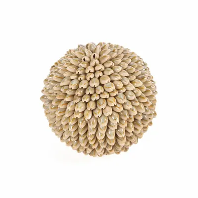 Objets de décoration - La Oluolu Shell Balle - L - BAZAR BIZAR LIVING