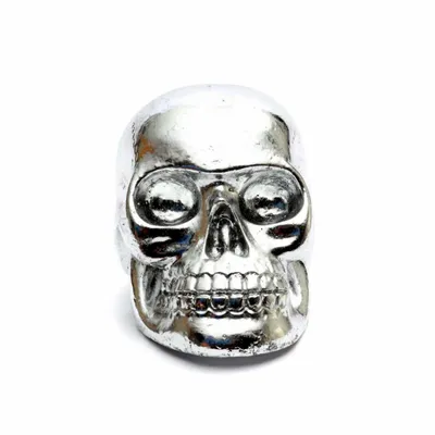 Sculptures, statuettes et miniatures - Le Resin Skull Head Crâne Silver M - BAZAR BIZAR LIVING