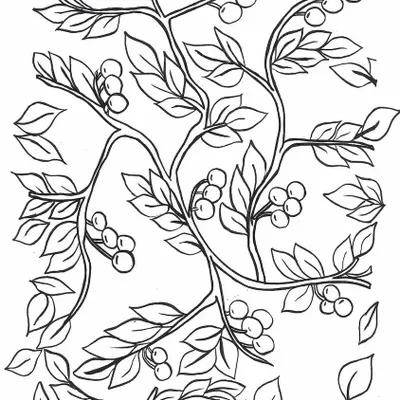 Homewear - Nabaq — Botanical Surface Pattern - MONOR DESIGN