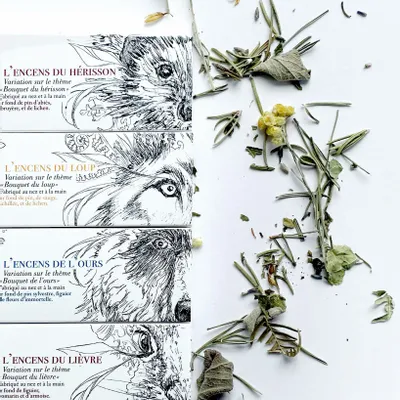 Parfums d'intérieur - Collection des 6 encens 100% plantes TOTEM nature - TOTEM NATURE