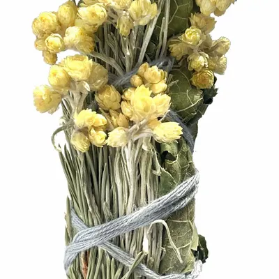 Cadeaux - Bouquet du petit Ours - Bâton de fumigation bio - TOTEM NATURE
