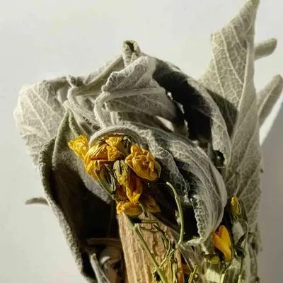 Cadeaux - Bouquet du petit Cerf - bâton de sauge bio - TOTEM NATURE