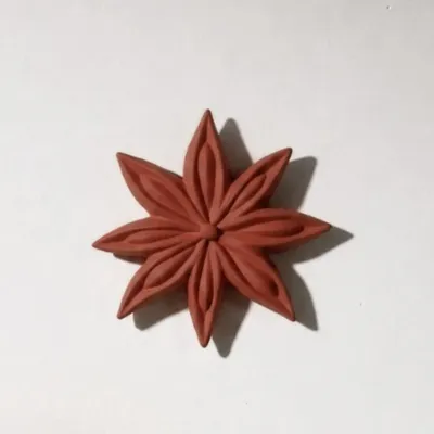 Outdoor decorative accessories - JANIS (star anise) - MONOCHROMIC CERAMIC