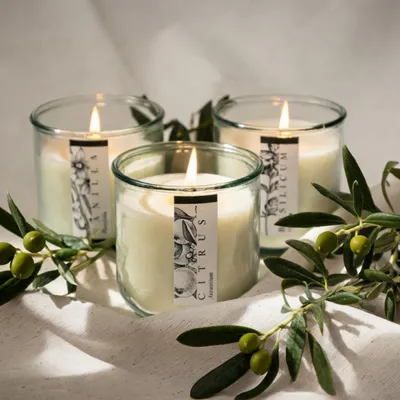 Candles - INCERA CRU COLLECTION - Cymbopogon Citratus - GRAZIANI