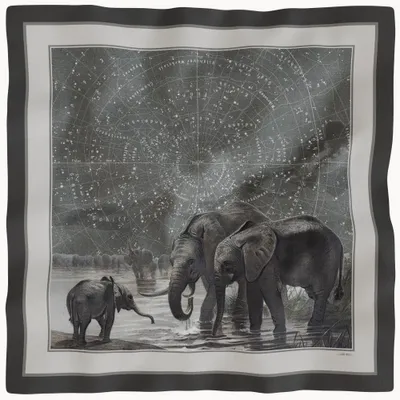 Scarves - Scarves in soft twill - MAOULI