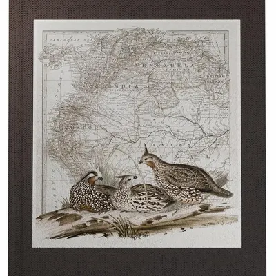 Papeterie - Carnet de voyage - MAOULI