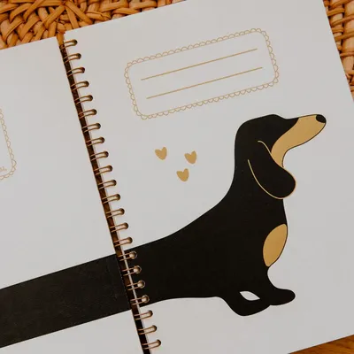 Stationery - Stationery: cards, notebooks, calendars and wall decoration - LES PETITES HIRONDELLES