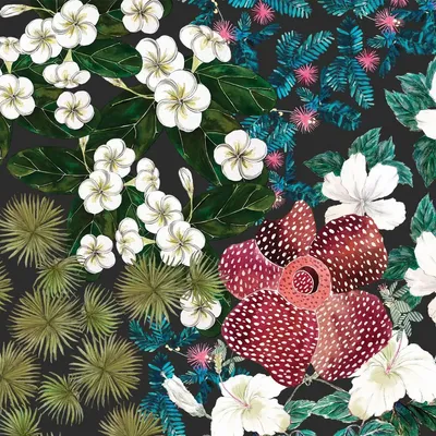 Textile and surface design - Surface Pattern Design - LIFE AFTER BREAKFAST