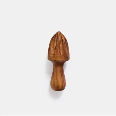 Kitchen utensils - Teak citrus press - DESIGN TRIP