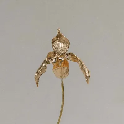 Objets de décoration - Sculpture Orchidée Huanuco - Brave - CÂPÂ JEWELRY