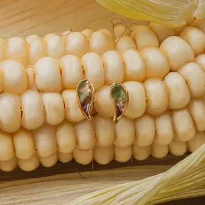 Jewelry - Aba Corn Stud Earrings - CÂPÂ JEWELRY