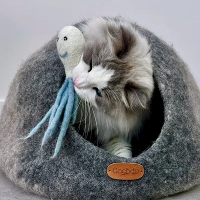 Pet accessories - Jouets pour chats - COCOON PARIS
