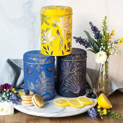 Decorative objects - Birthday Collection — Metal boxes illustrated by Sara Miller - MAISON ROYAL GARDEN