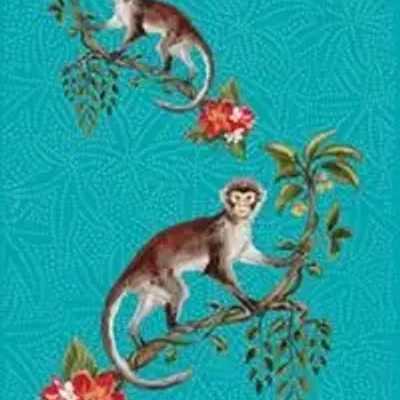 Torchons - Torchon Monkey - ZOOH