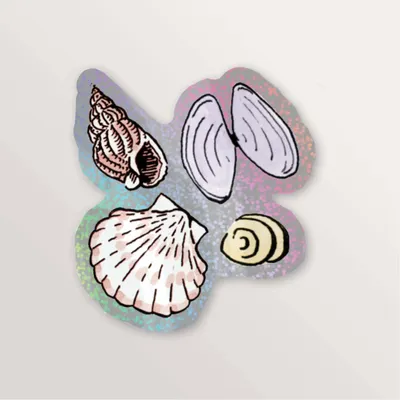 Papeterie bureau - Sticker brillant - 4 coquillages - TABLE À CARTES