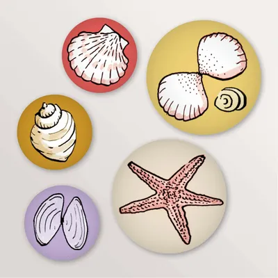 Objets design - Jeu de 5 magnets coquillages - TABLE À CARTES