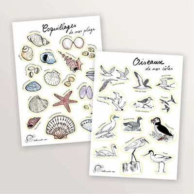 Papeterie bureau - 2 planches de stickers A5 : Oiseaux et Coquillages - TABLE À CARTES