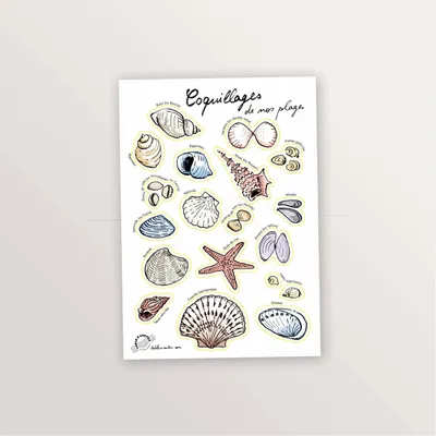 Papeterie bureau - 2 planches de stickers A5 : Oiseaux et Coquillages - TABLE À CARTES
