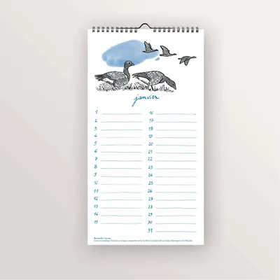 Range-tout - Calendrier perpétuel - Oiseaux de bord de mer - TABLE À CARTES