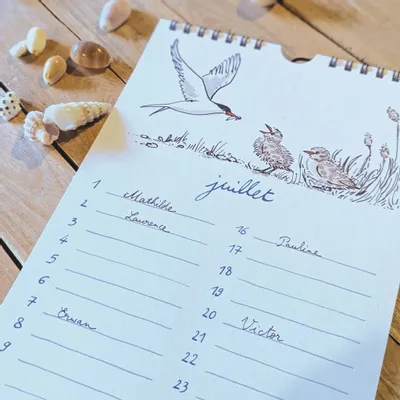 Range-tout - Calendrier perpétuel - Oiseaux de bord de mer - TABLE À CARTES
