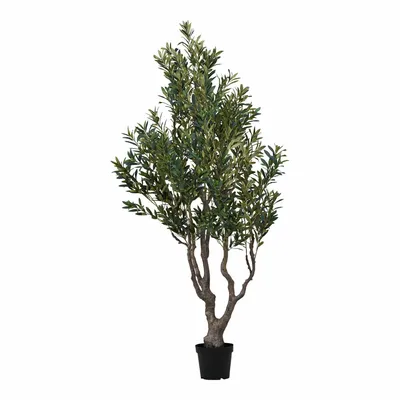 Décorations florales - Olivier, arbre artificiel, vert, H : 220 cm - HOUSE NORDIC