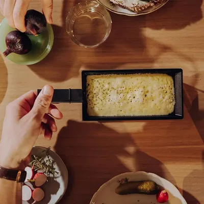 Food processor - MARY MELT - HÖFATS GMBH