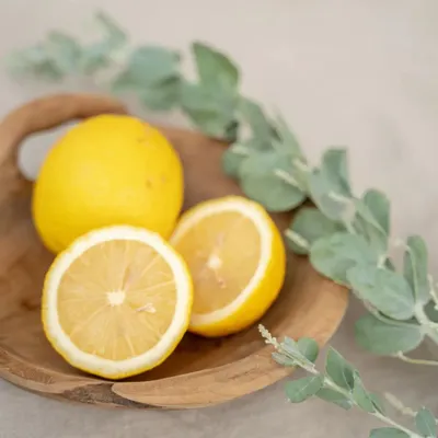 Platter and bowls - The Bowl Tray - Natural - BAZAR BIZAR LIVING