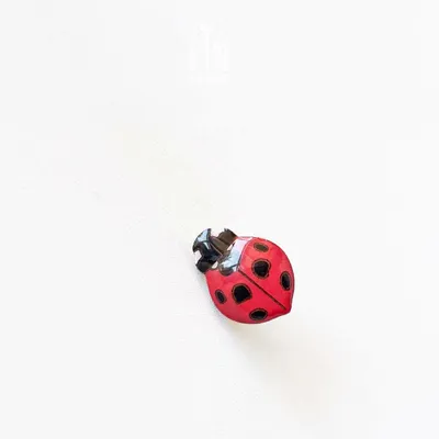 Broches - Ladybug Pin - PINTONIK
