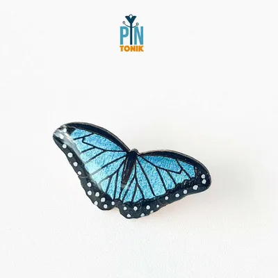 Broches - Blue Morpho Butterfly Pin - PINTONIK