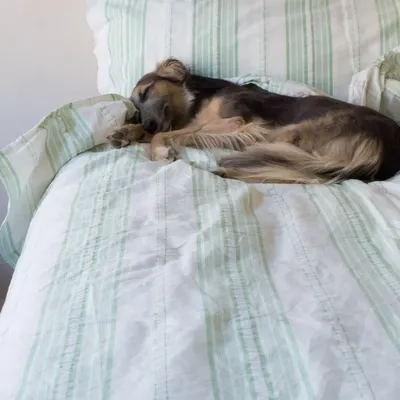 Beds - striped duvet cover - white with pistachio green - OTTOMANIA